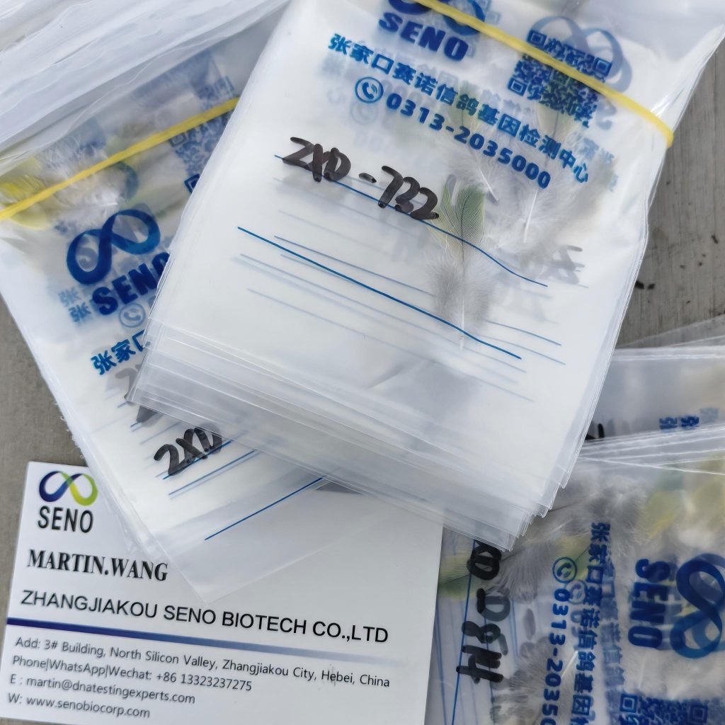 What Is the Dopamine DRD4 Receptor Test for Pigeons?