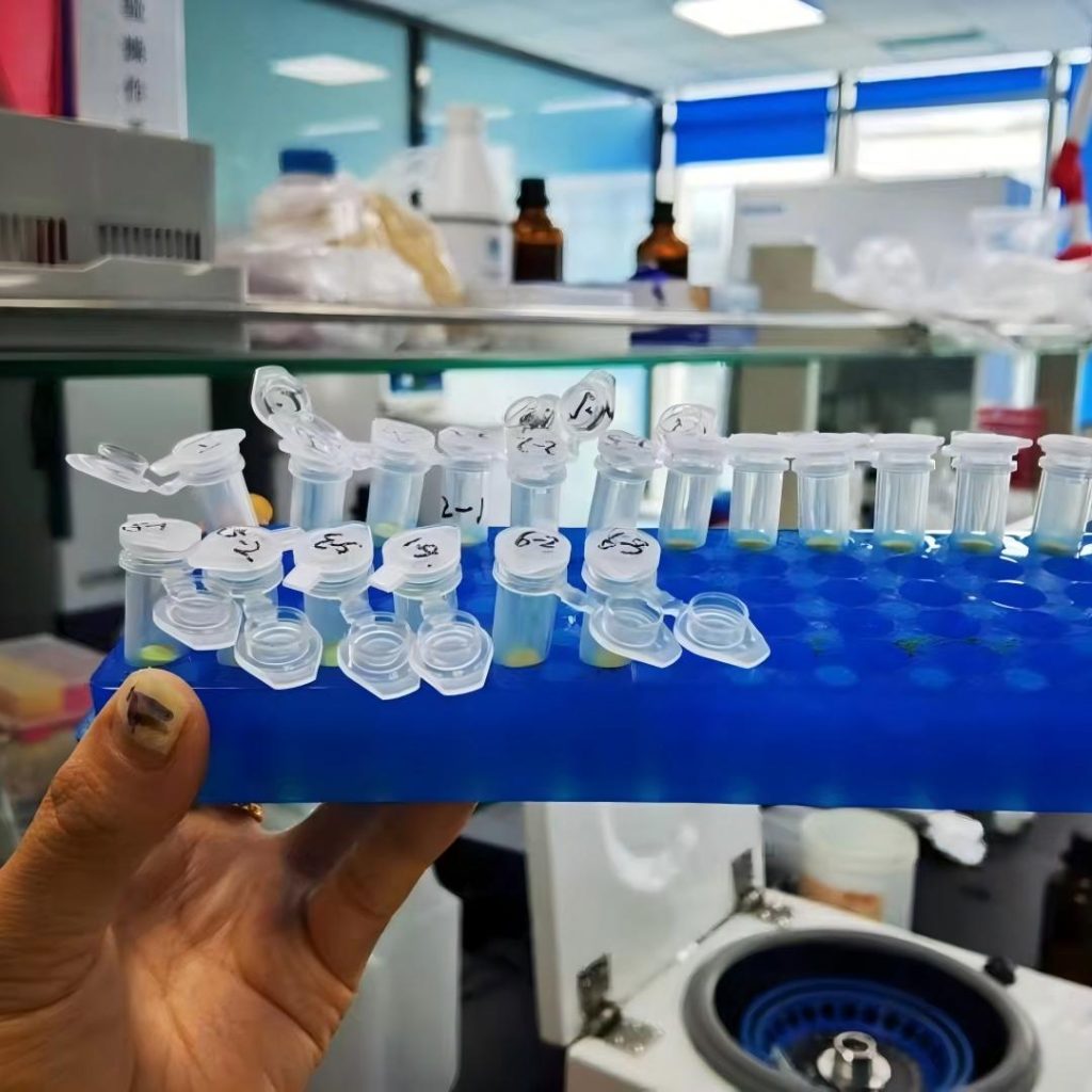 Test Bird DNA at Home: What Equipment and Reagents Do You Need?